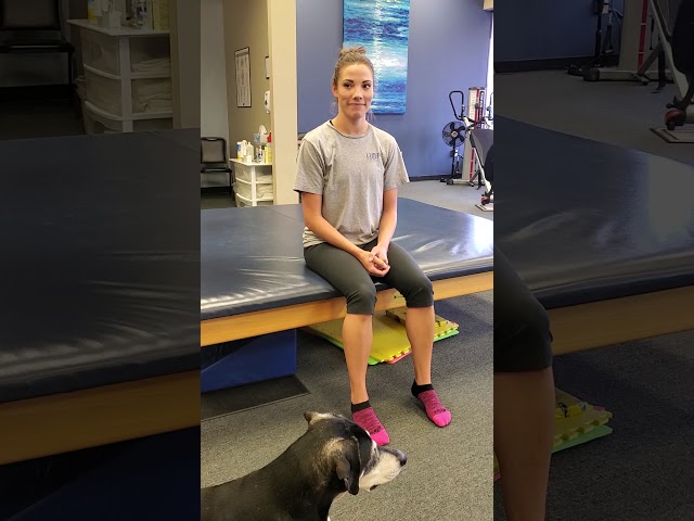 Hamstring Stretch Seated