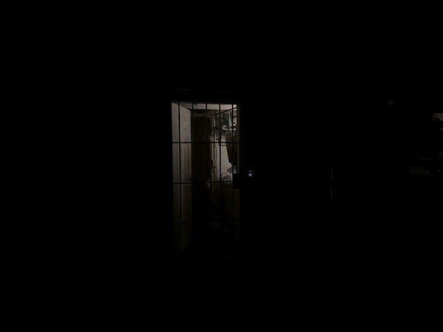 IMG 5811