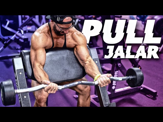 Rutina PULL o de JALAR FUERTE (Viernes) - gymtopz