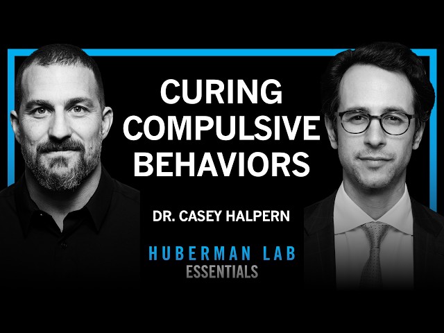 Essentials: Compulsive Behaviors & Deep Brain Stimulation | Dr. Casey Halpern
