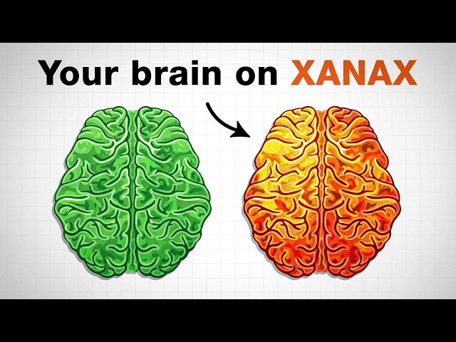 Longterm Effects of Benzos on the Brain