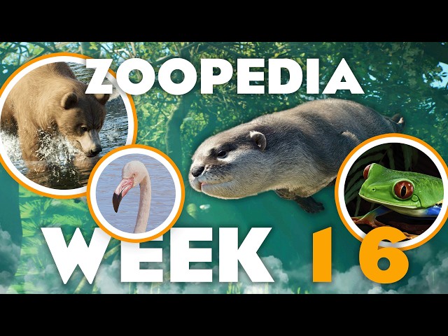 🦦 OTTERLY PREPOSTEROUS! | Zoopedia Drop #16 | Planet Zoo 2