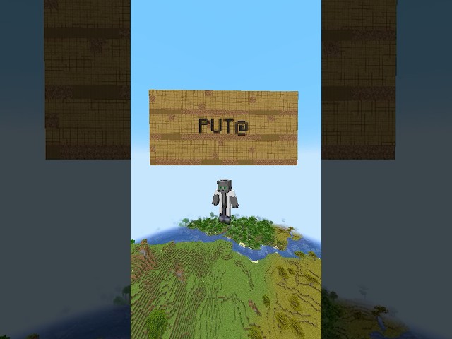 You didn't know this about #minecraft POSTERS