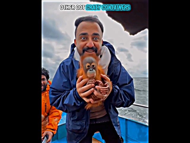 Other got crazy container finds vs this guy ☠️ #trollface ##trollfaceedit #meme #trending