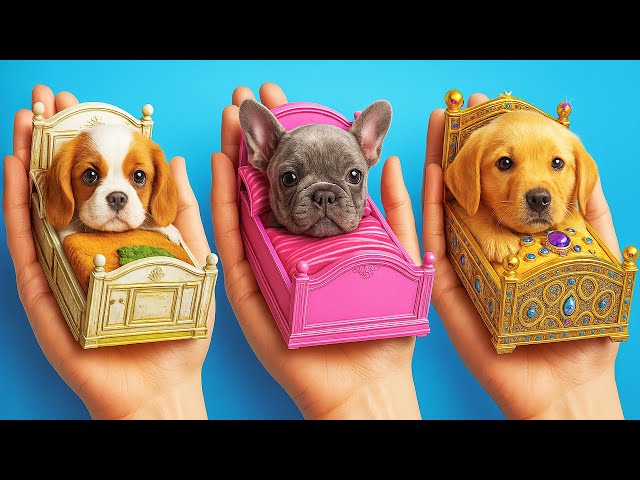 Secret Room For My Dog! 🐕💖 DIY Life Hacks & Gadgets For Pet Owners
