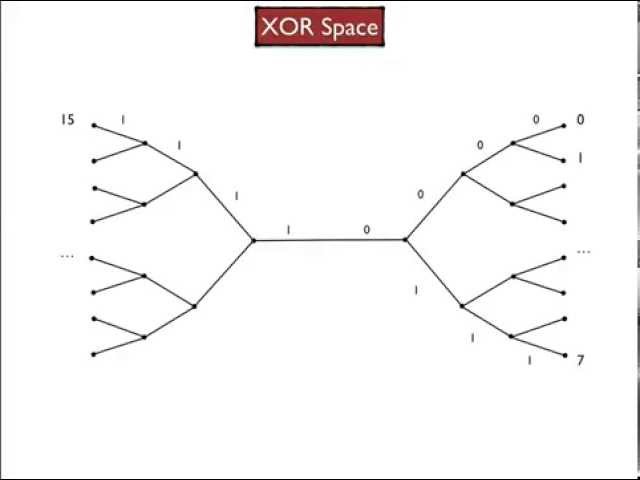 2.2. Visualizing the global connection patterns in XOR Space