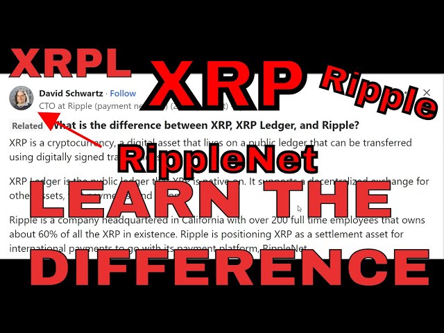 Differences between XRP Ripple XRPL & RippleNet #xrp #cryptonews #ripplenews #xrparmy #ripplenet