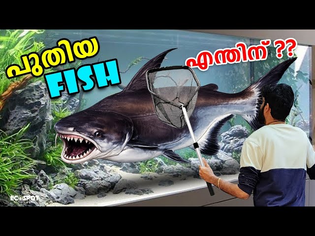 🐟 For the first time... not for us, I bought a fish for you! ❤️😲 | Bought a MONSTER fish for you