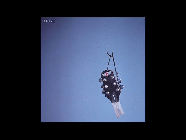 Plums - Parking Lots