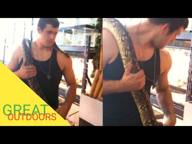 Florida's huge snake population. Part 5 huge invasive snake species