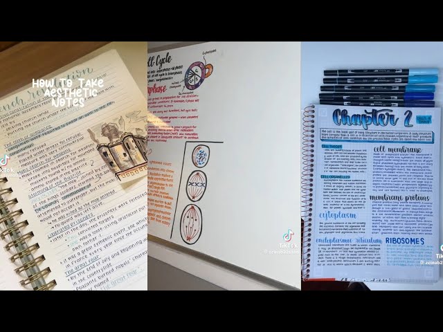 ASMR Study Notes: Aesthetic Compilation #3 ✏️ | xkqitlynx