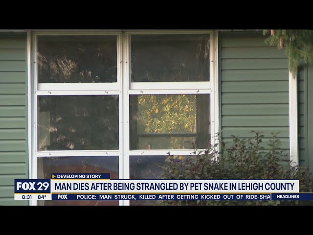 18-foot-long pet snake fatally strangles owner in Pennsylvania