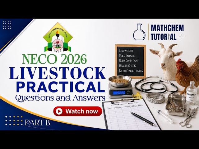 NECO 2026 Livestock Farming Practical Questions and Answers | Complete Specimen Solutions PART B