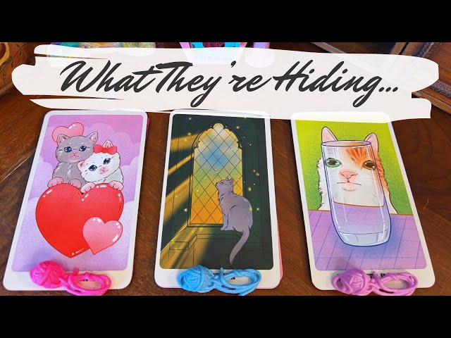 Their True Feelings Revealed 💗 Pick a Card
