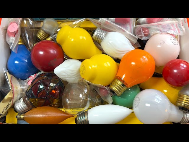 Random Rare Colored Incandescent Light Bulbs Turning On! (Box o Bulbs)