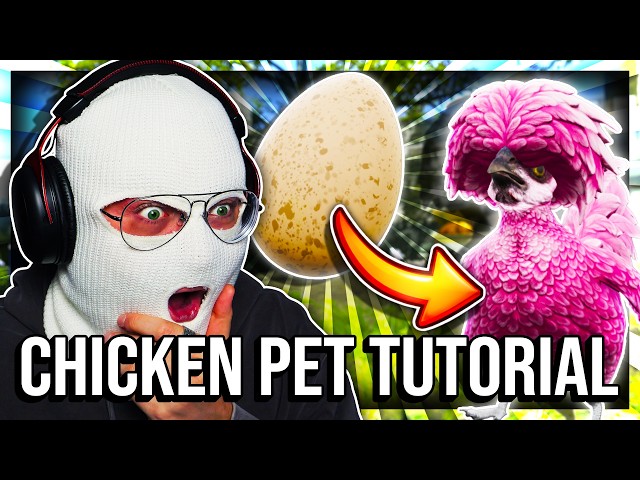 CS2 CHICKEN PET TUTORIAL (COMPREHENSIVE)