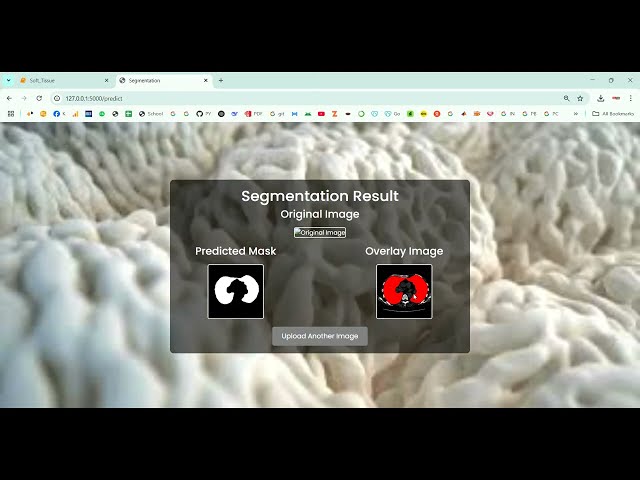 Soft Tissue Segmentation using Image Dataset in Python Projects