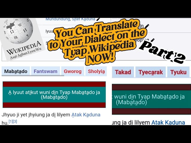 Dialect Translation: Translating to Fantswam