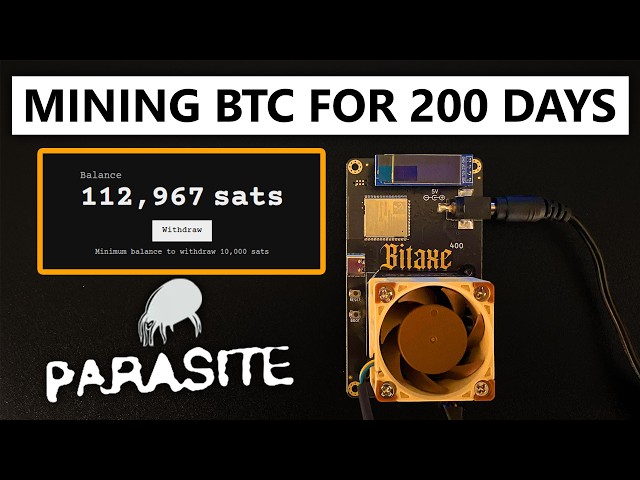 I Mined To Parasite Pool For 200 Days, Here are the results