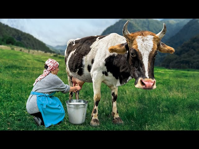 Creamy Homemade Butter: The Old-Fashioned Recipe with Fresh Milk!