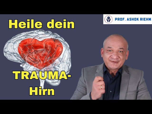 Neuroplastizität: Wie Sie Ihr Trauma-Gehirn neu verdrahten