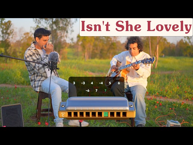 Isn't She Lovely - Harmonica Tabs Tutorial (Stevie Wonder)