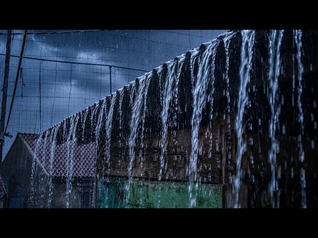 Heavy rain on the zinc roof and thunderous thunder make us fall asleep quickly.