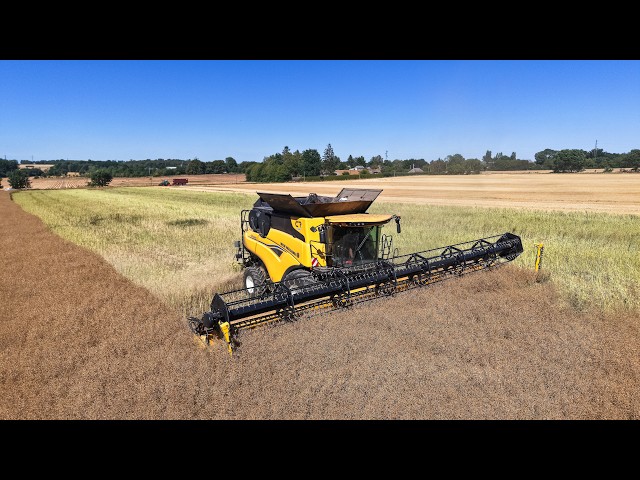 New Holland CR10.90 A LA MOISSON DE COLZA 2026!!! 👌