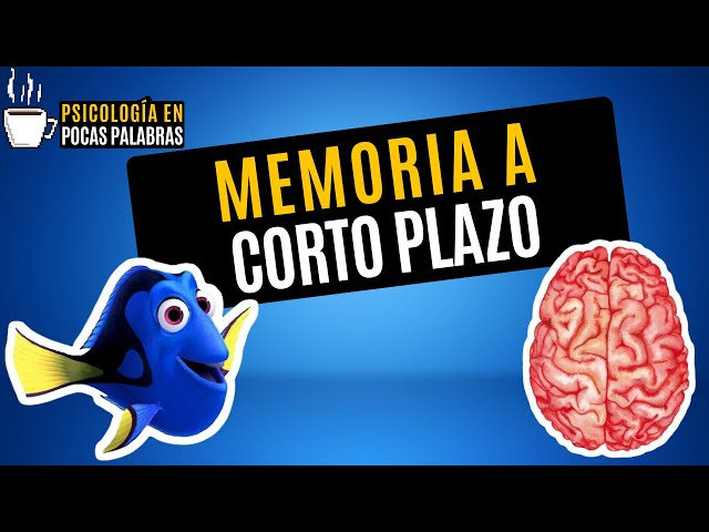 Codificación en la Memoria a Corto Plazo: Cómo Funciona | Psicologia en Pocas Palabras