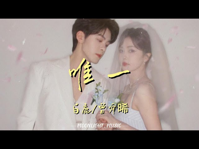 唯一 - 白鹿/曾舜晞『爱本质无异 是因为人多得拥挤 你不想证明 证明我是你唯一』【动态歌词】#流行歌曲#新歌更新 #临江仙