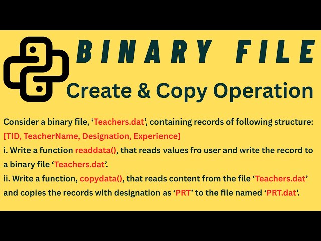 Python Class 12 | Binary File Handling | Write & Copy Operation