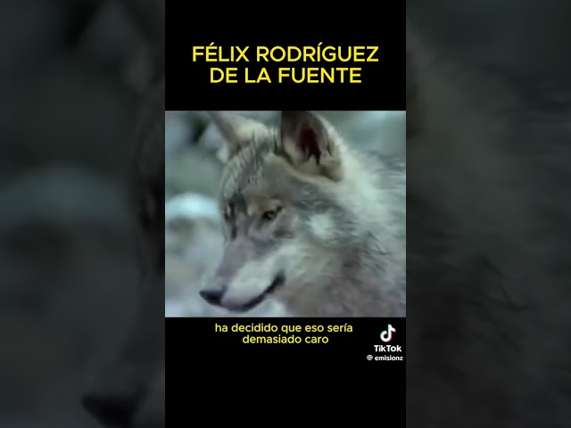 Félix Rodríguez de la Fuente: The Decisions of Politicians