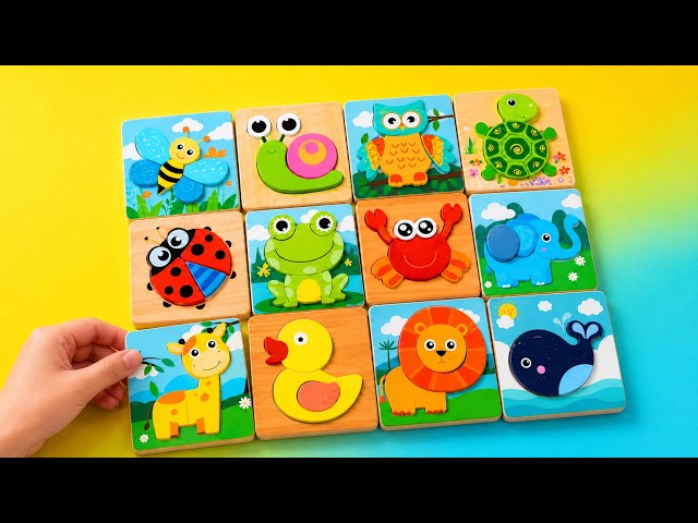 Learn Animals & Shapes! 🧩 Fun Puzzle Game for Kids