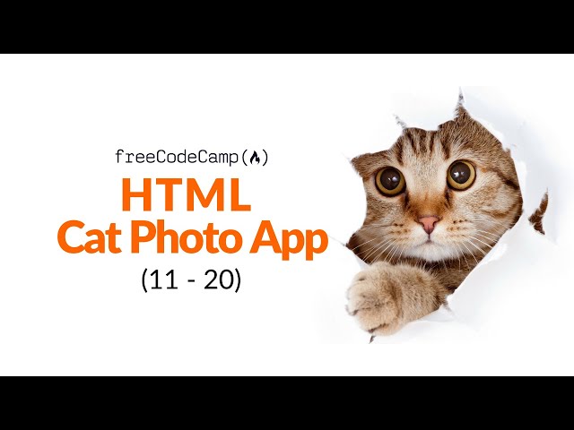 FreeCodeCamp Walkthrough | Learn HTML by Building a Cat Photo App (Steps 11 - 20)