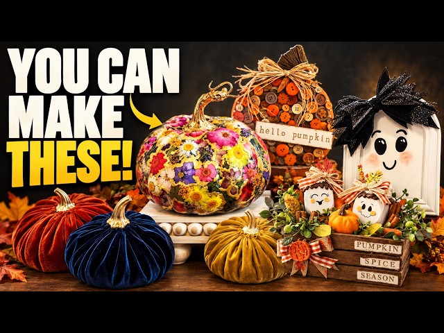Budget Friendly Fall DIYs: Easy Decor Updates Anyone Can Do!