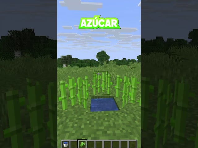 I Grew SUGAR CANE on DIAMONDS in Minecraft