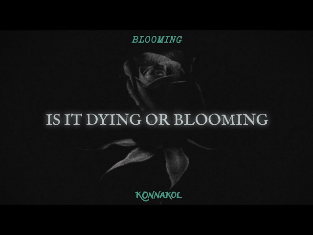 ZAYN - Blooming (Official Lyric Video)