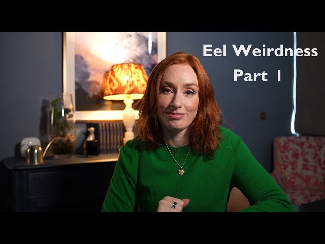 Eel weirdness - part 1