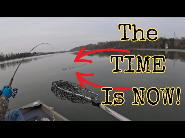 Early SPRING Shellcracker FISHING! | PRESPAWN Shellcracker FISHING In TENNESSEE! #thenextcast