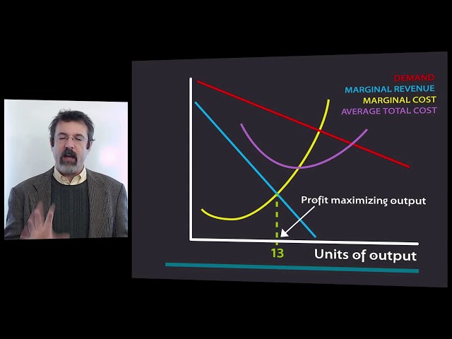 Profit Maximizing Output versus Efficient Output in a Natural Monopoly