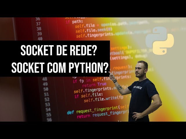 SOCKET: What is a NETWORK SOCKET? SOCKETS with PYTHON!
