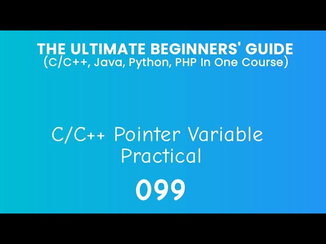 99. C/C++ Pointer Variables