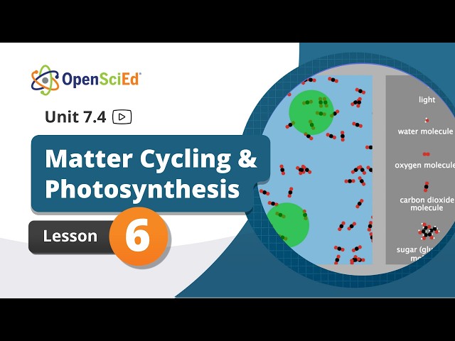 Unit 7.4 Lesson 6 Planning Video | OpenSciEd On-Demand Resources