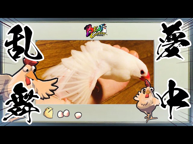 🔴 夢中乱舞 [📡LIVE] 🐔🎧