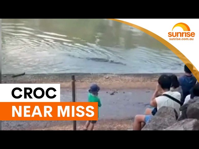 Family's terrifying close call with saltwater crocodile | Sunrise