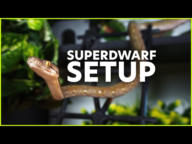 Superdwarf Retic Setup — COMPLETE WALKTHROUGH