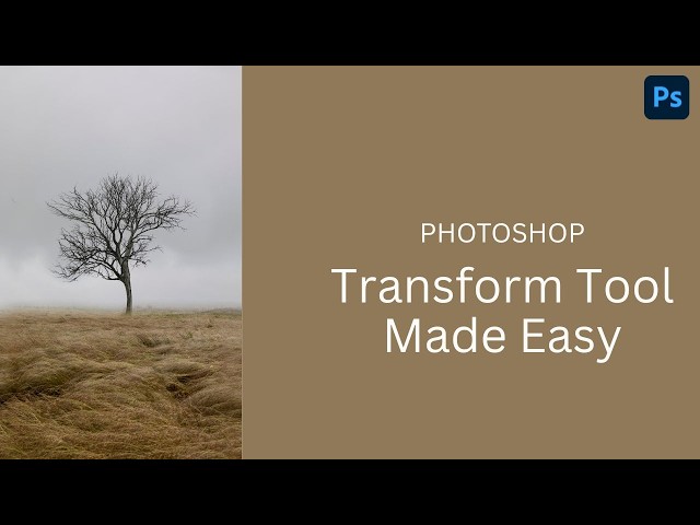Photoshop Transform Tool Made Easy