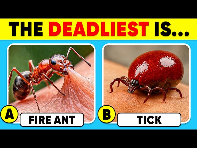 How Good Is Your Knowledge of ANIMALS? 🐜😱✅ General Knowledge Trivia Quiz