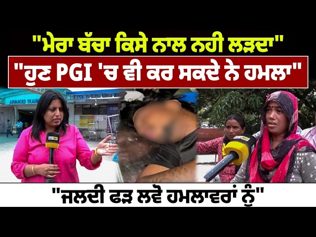 "ਮੇਰਾ ਬੱਚਾ ਕਿਸੇ ਨਾਲ ਨਹੀ ਲੜਦਾ","ਹੁਣ PGI 'ਚ ਵੀ ਕਰ ਸਕਦੇ ਨੇ ਹਮਲਾ","ਜਲਦੀ ਫੜ ਲਵੋ