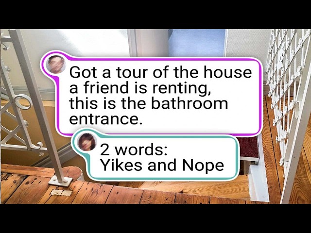 Designers Disappointed by Lackluster Feedback From the Muse